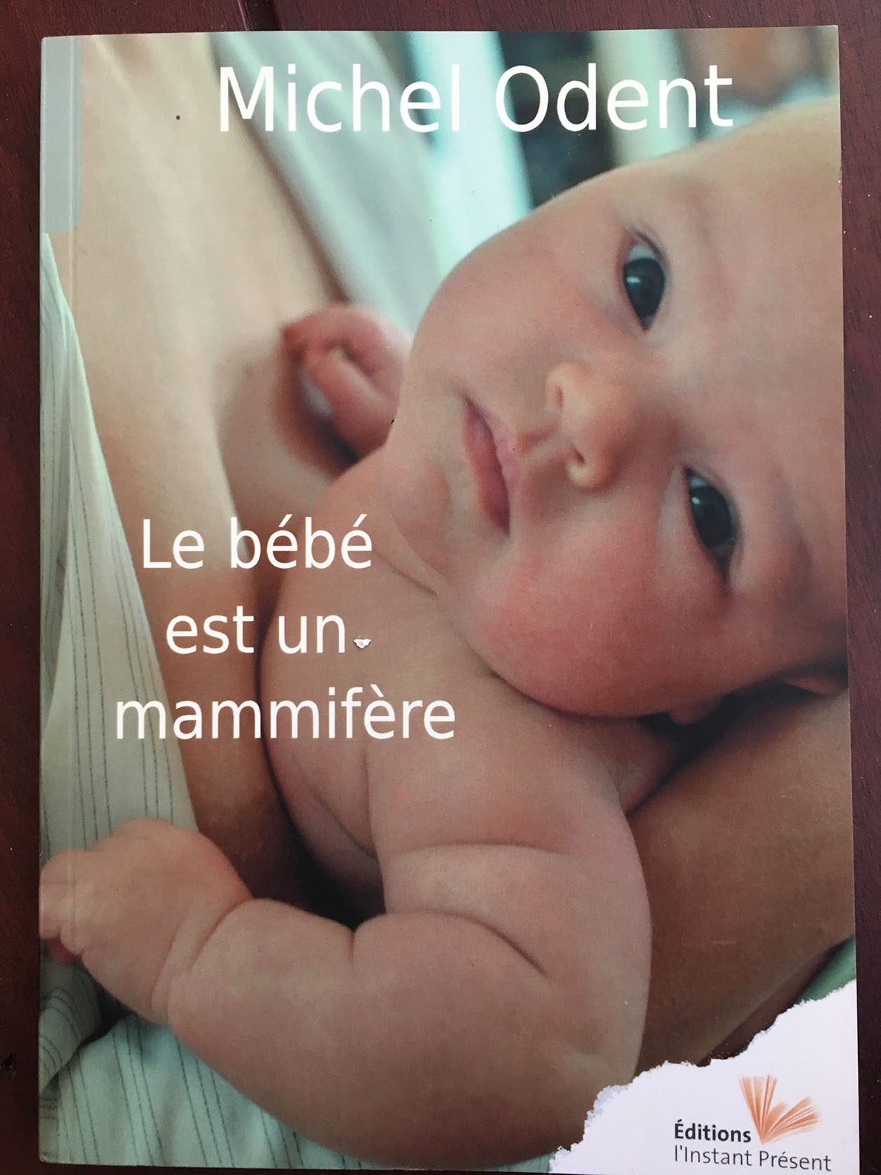 bebe mamifaire 2