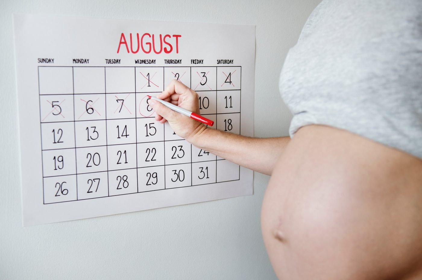 belly calendar countdown 1282310