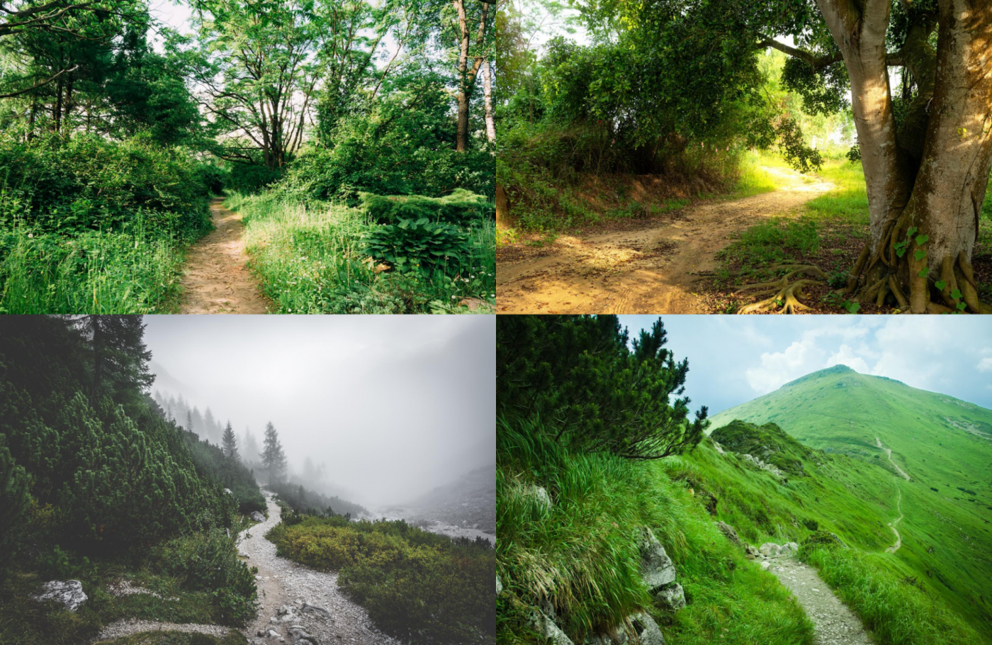 chemin de parent