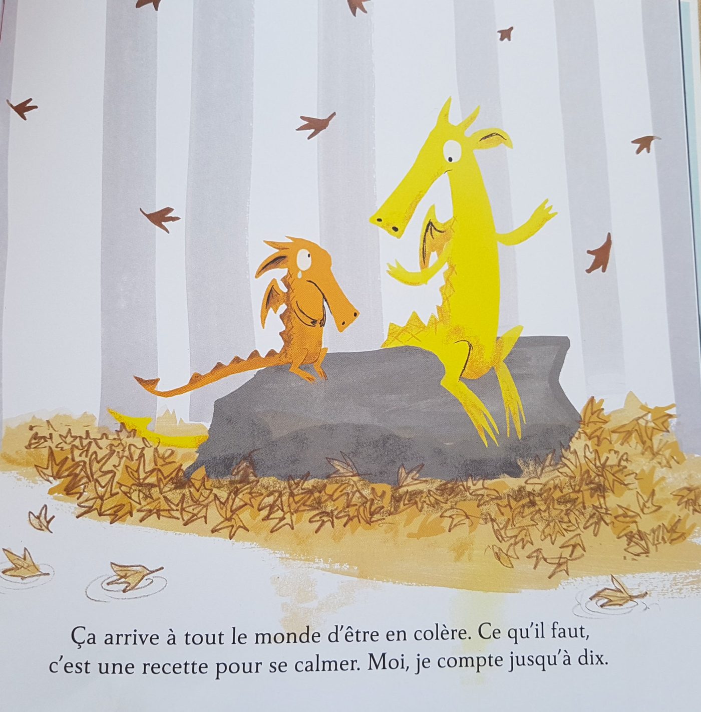 fergus petit