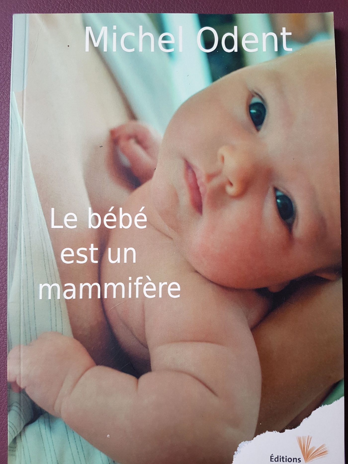 odent bebe mamifere