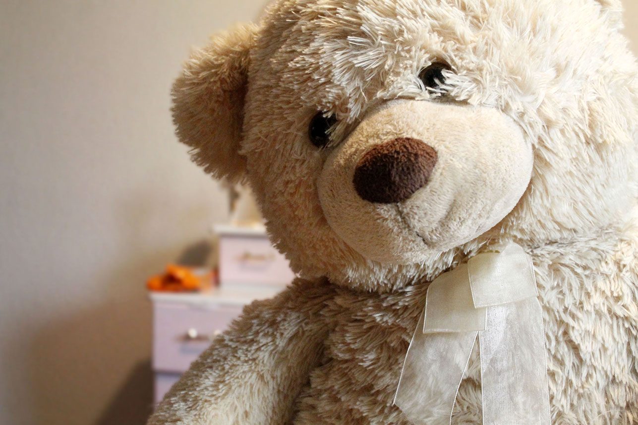 peluche 2