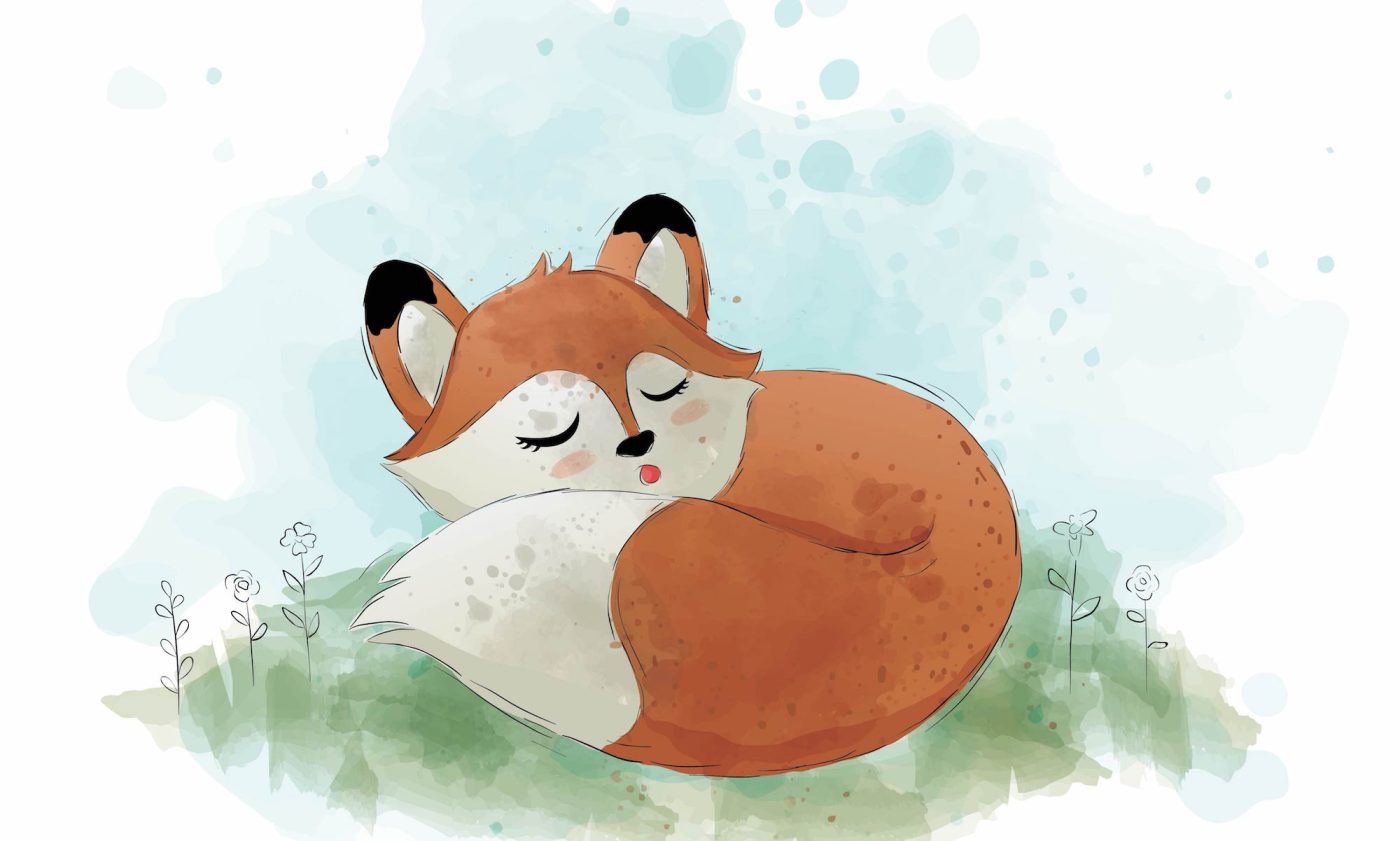 renard fait dodo